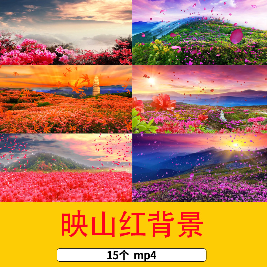 映山红红歌杜鹃花动态唯美漫山花朵花瓣飞舞红色花海舞台背景视频