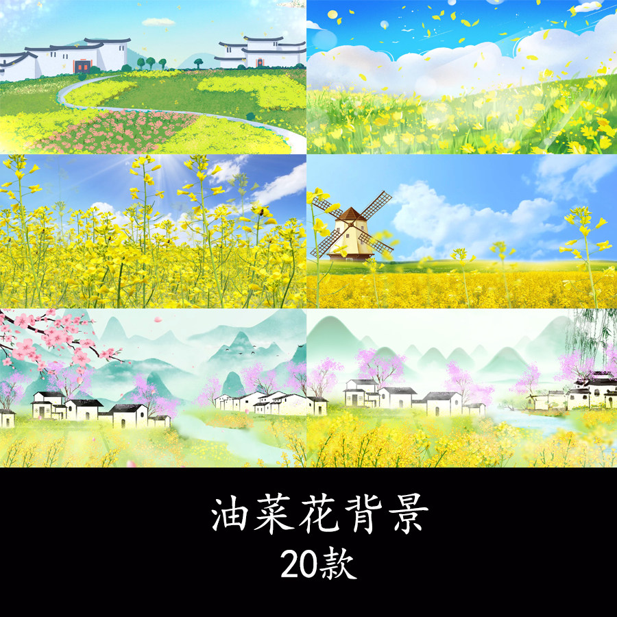 春天油菜花水墨背景春天花海风景背景油菜花地花海春天背景视频