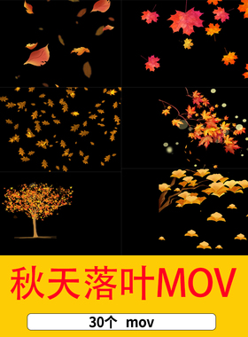 秋天落叶枫叶银杏叶飘落后期特效mov通道视频黄色落叶漂浮视频