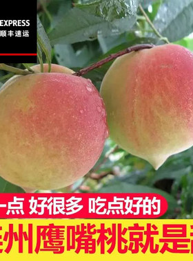 连州鹰嘴桃水蜜桃脆桃现摘新鲜水果香甜多汁毛桃蜜桃桃果时令水果