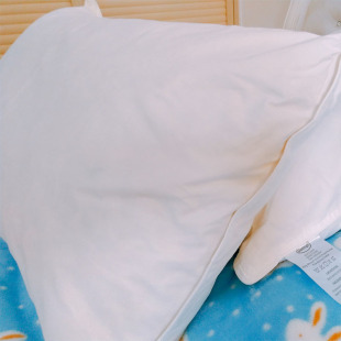 羽绒枕出口英国白鸭毛枕芯酒店宾馆用舒适枕头单人外贸羽毛枕特价