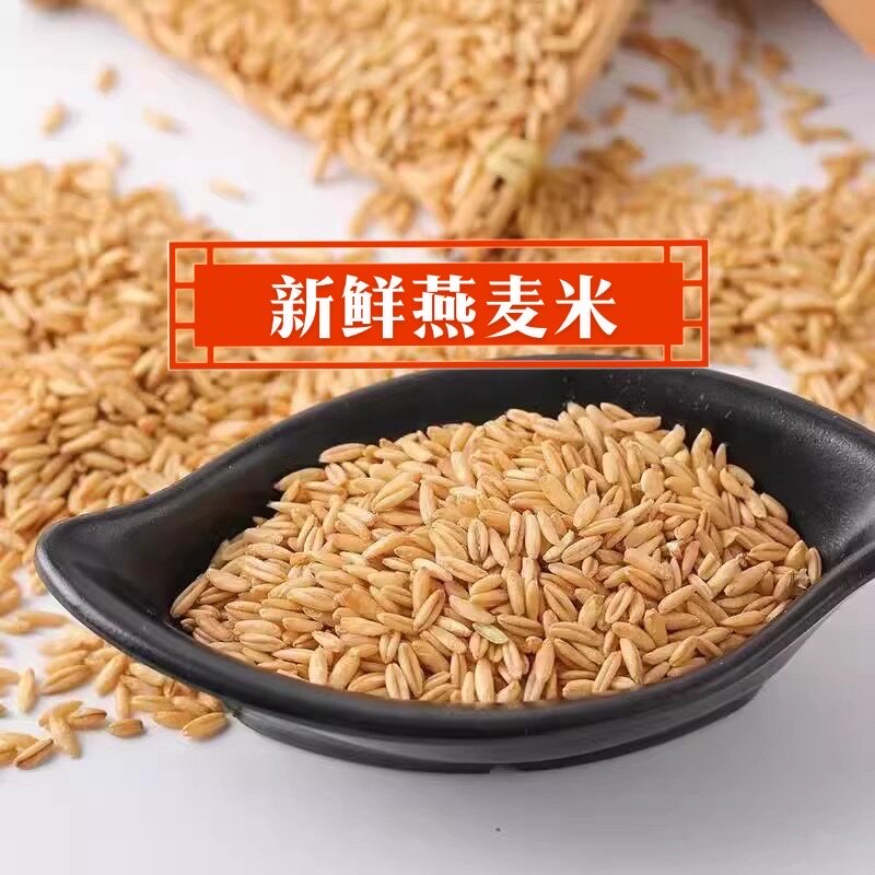 燕麦米鸟食鸟粮雀麦图片
