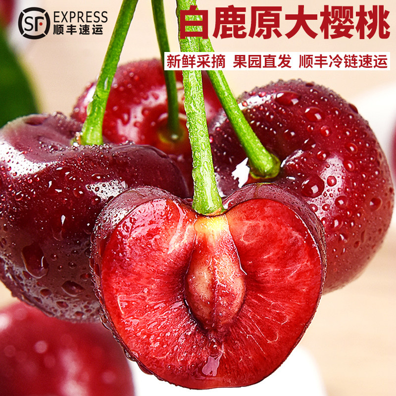 陕西白鹿原大樱桃2斤4斤新鲜孕妇当季水果顺丰包邮现摘现发大红灯,水产肉类/新鲜蔬果/熟食,车厘子/樱桃,淘宝优惠券,粉丝福利购,淘宝优惠卷