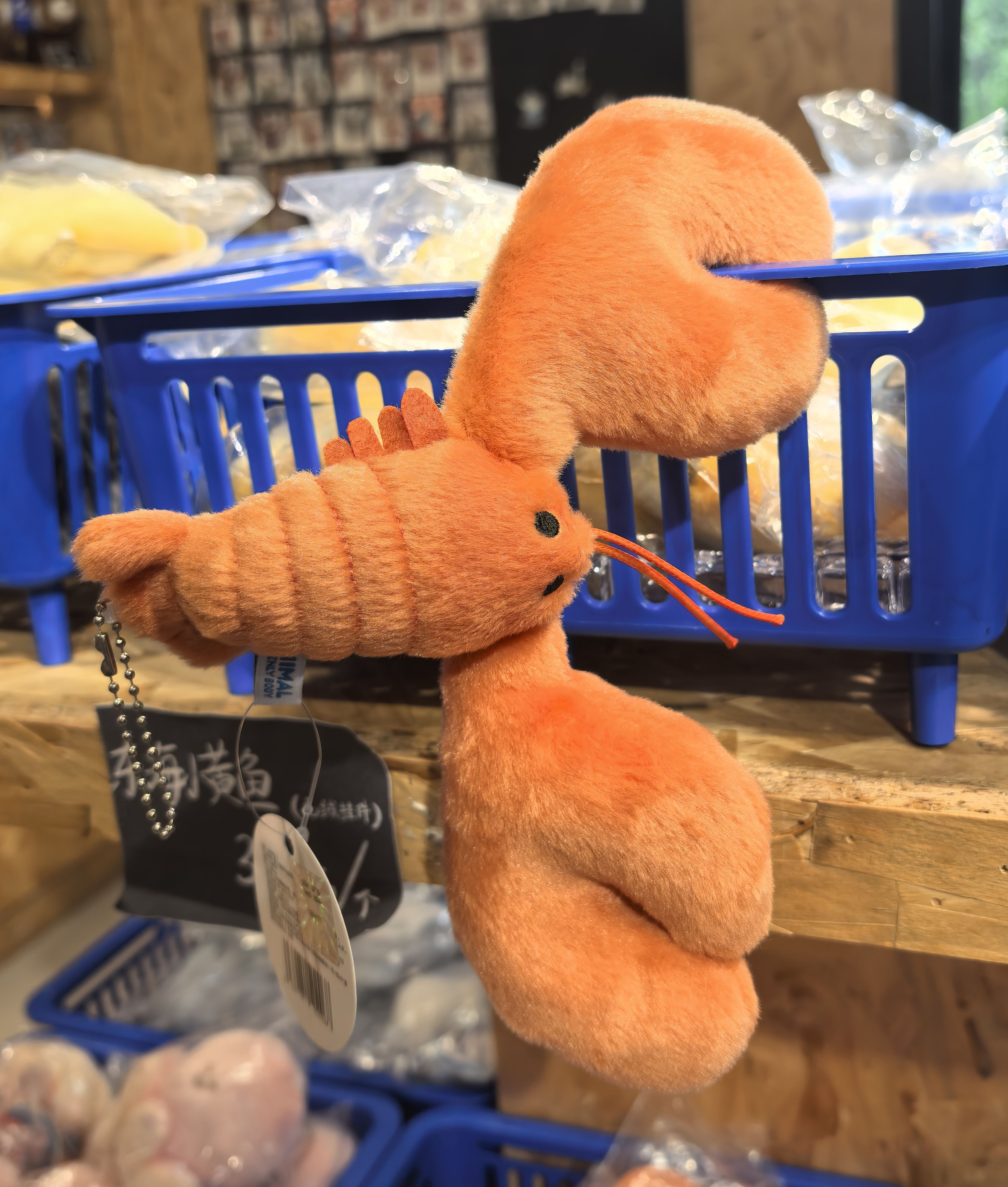 【新品】南京红山动物园动物星球海鲜毛绒挂件龙虾蛏子带鱼代购
