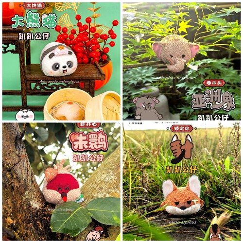【新品】广州动物园趴趴豺，朱鹮，大馋猫，荔枝花环，木棉花环