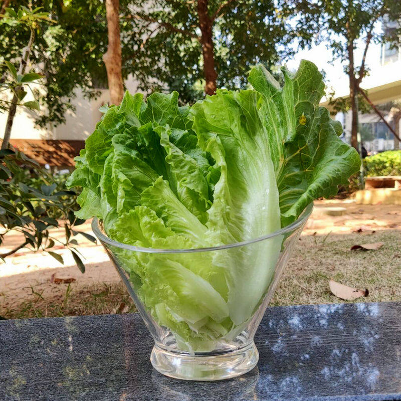 日式亚克力斜口碗火锅自助餐塑料生菜桶蔬菜碗沙拉碗酱料盘调料碗