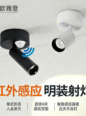 人体感应灯自动红外小角度迎宾过道玄关走廊照画吸顶智能明装射灯