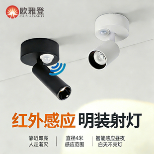 人体感应灯自动红外小角度迎宾过道玄关走廊照画吸顶智能明装射灯