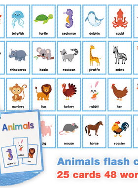 跨境英语启蒙Flashcard动物闪卡水果蔬菜身体闪卡片英文单词卡