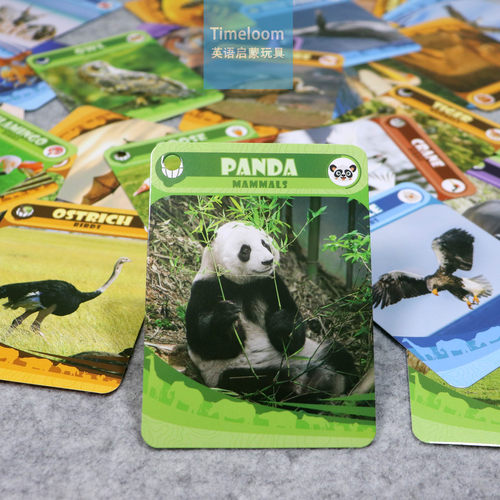 跨境英语启蒙Flashcards写实闪卡动物景点标志交通工具食物实景