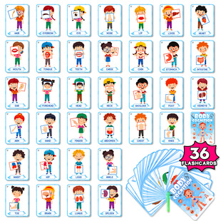 跨境英语启蒙Flashcard身体闪卡五官Body认知儿童教具闪卡教育卡