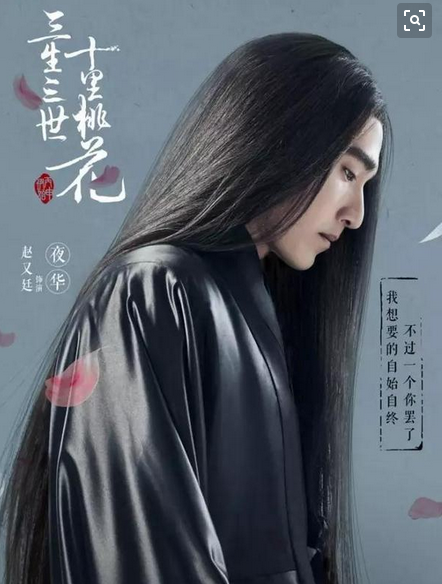 cos假发 黑长直发中分古装动漫三生三世十里桃花赵又廷夜华同款