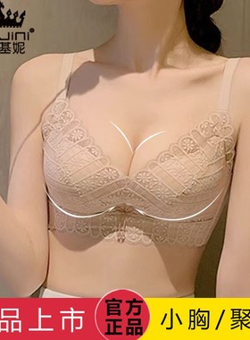 艾芘基妮R005新品无钢圈调整型聚拢收副乳蕾丝夏季文胸内衣比基尼