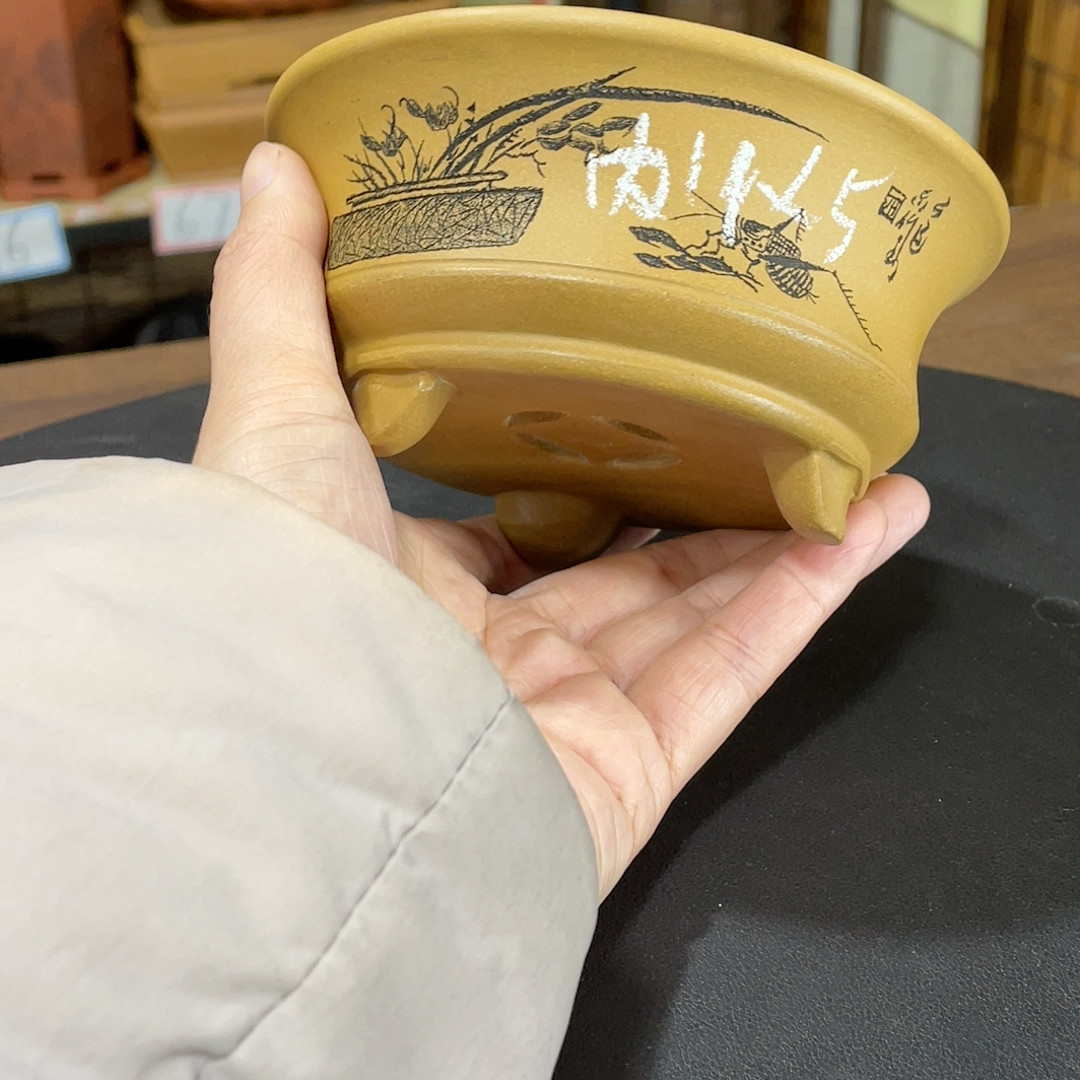 被,鲜花速递/花卉仿真/绿植园艺,花盆,淘宝优惠券,粉丝福利购,淘宝优惠卷