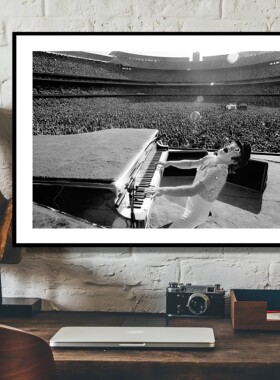 elton john 艾尔顿约翰流行音乐家钢琴家海报装饰画餐厅酒吧挂画