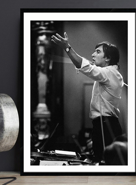 Claudio Abbado 阿巴多 古典音乐家指挥家琴房教室书房有框挂画