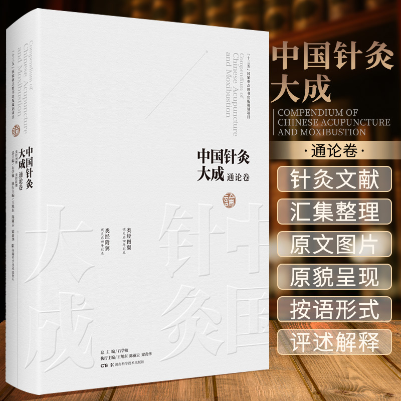 中国针灸大成通论卷 类经图翼 类经附翼 石学敏主编 大型针灸学术