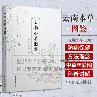 云南本草图鉴 左媛媛等 学苑出版社 可作为科普读物 中小学生自然读物 常见的中草药植物 大叶钩藤 紫苏 铜锤玉带草 梁王茶 玉竹