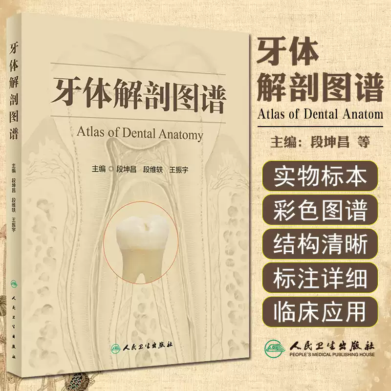 牙体解剖图谱 人民卫生出版社 段坤昌等编著 口腔颌面部的标志 恒牙与牙髓腔的形态 乳牙与牙髓腔的形态 上颌乳中切牙 牙冠的线角