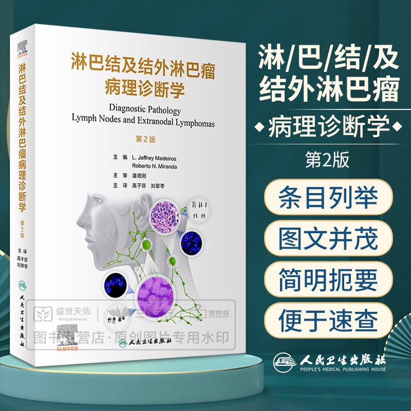 淋巴结及结外淋巴瘤病理诊断学 第2版 高子芬等 淋巴结及结外淋巴瘤的良性及恶性病变 皮肤弥漫大B细胞淋巴瘤等 人民卫生出版社