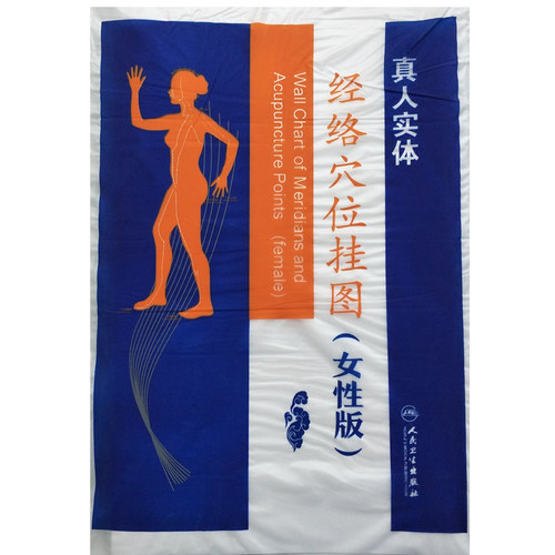 经络穴位挂图（女性版）