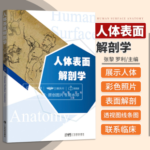 广东技术出版 人体表面解剖学 展示人体彩色照片绘制透视图和线条图人体表面解剖学内容图文并茂结构清晰标识准确 罗利 社 张黎