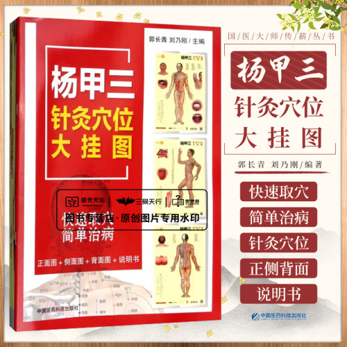 杨甲三针灸穴位大挂图 郭长青 刘乃刚主编 2018年7月出版 版次1 平装 9787521402179 中国医药科技出版社