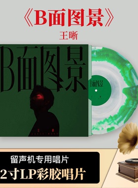 全新正版 王晰专辑 《B面图景》 LP黑胶唱片 12寸彩胶 歌词画册