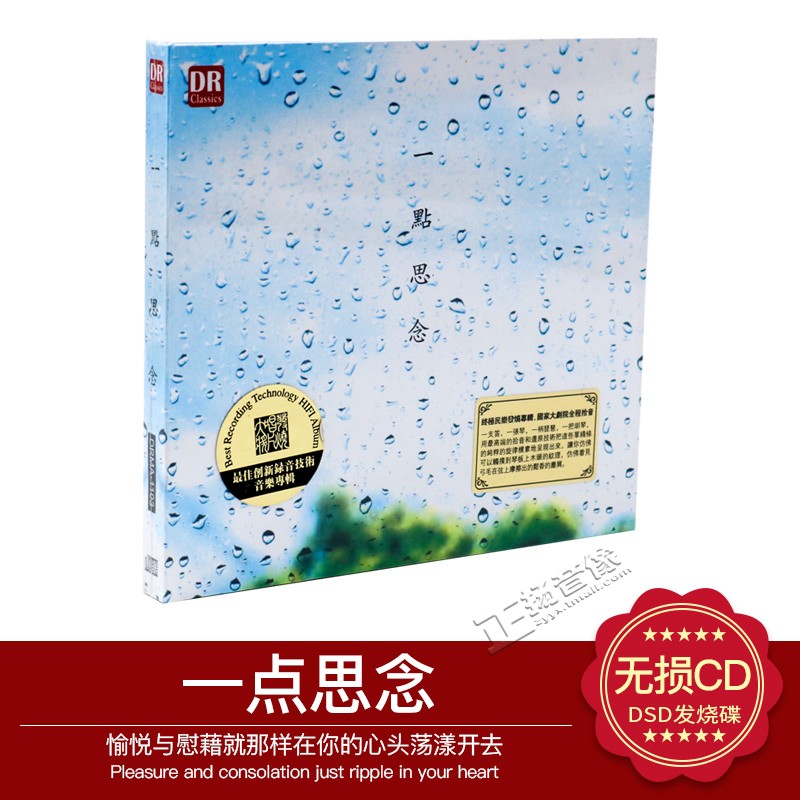 达人艺典DR 一点思念 民乐合辑古筝二胡琵琶古琴笛子DSD发烧碟1CD