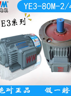 安徽皖南电机YE3超高效率三相异步电动机4极1400转全铜电机380v