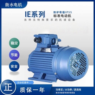 YE5一级能效节流YE4二级高效节能 衡水猛牛IE系列变频调速电动机