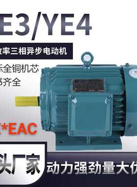 江苏肯德电机380V 三相异步电机YE4二级能效全铜芯马达国标全铜芯