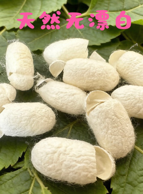 天然蚕茧无漂白开口茧蚕茧美容桑蚕茧洗脸指套入药泡茶喝抽丝蚕茧