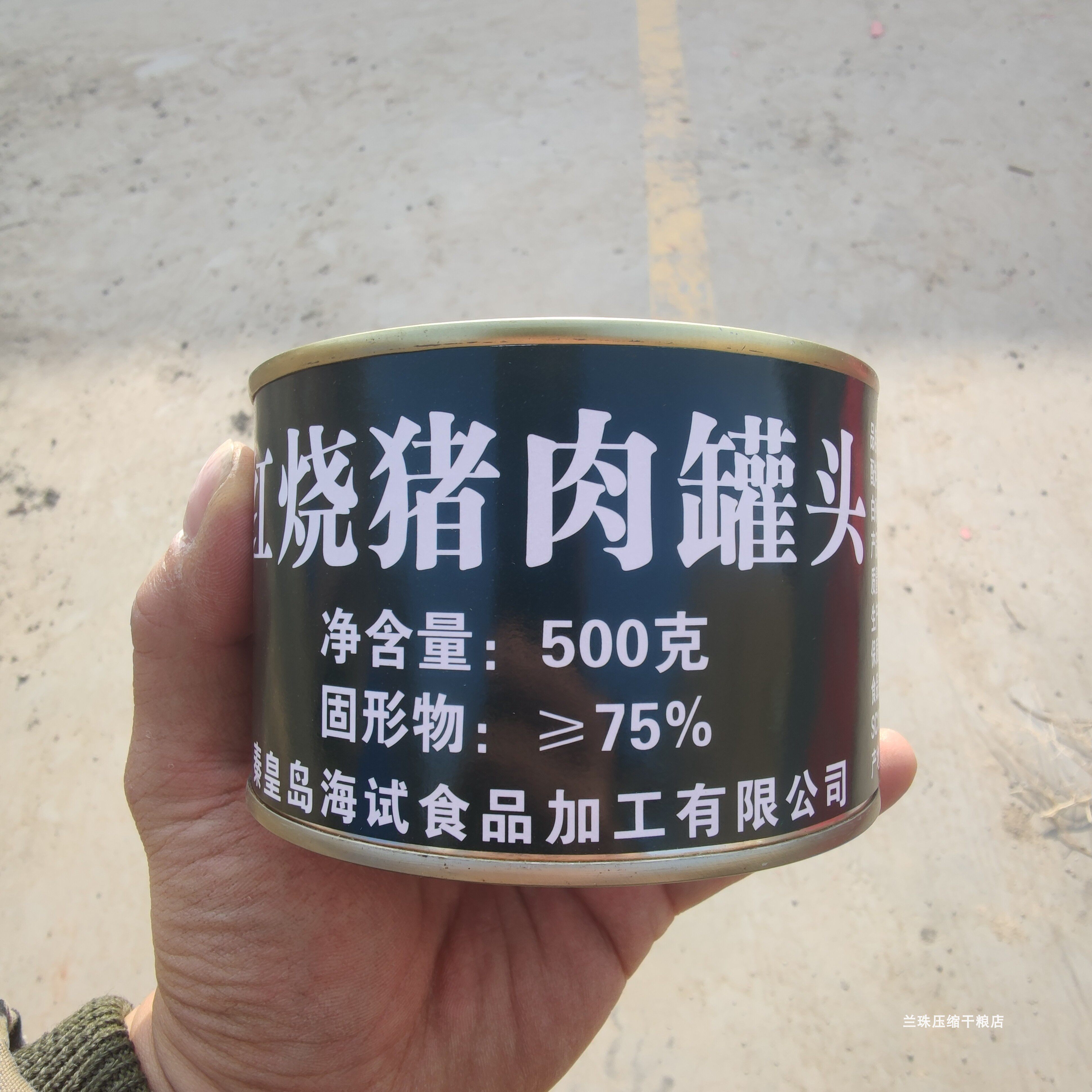 海试红烧新款猪肉罐头500克
