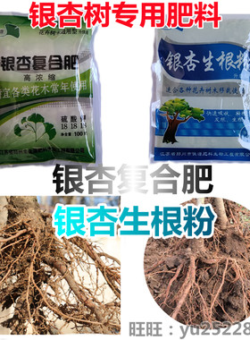 银杏复合肥粉壮发根佳源种子树苗