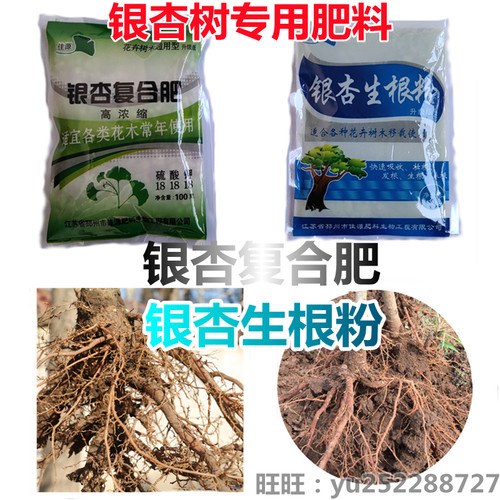 银杏复合肥粉壮发根佳源种子树苗