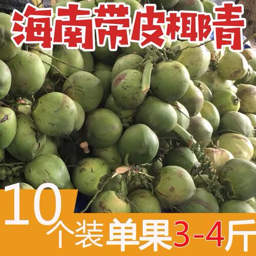 海南带皮大椰子十个孕妇现摘新鲜