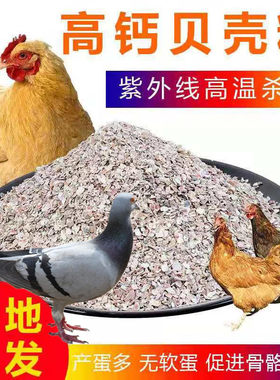 牡蛎壳粉生蚝粉芦丁鸡养鸡