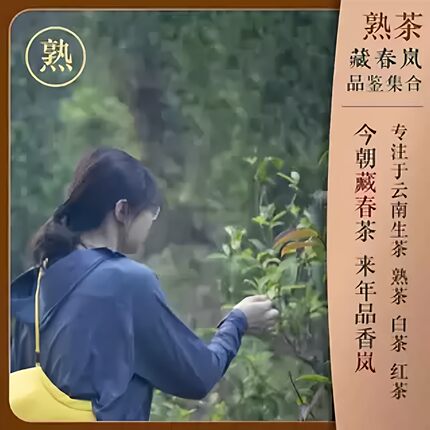 熟茶  试饮装链接 ！试喝茶样不送茶具！具体款式请见商品详情