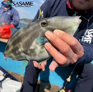 日本沙沙麦扒皮鱼马面鱼鱼钩 海钓小嘴鱼马面鲀钩船钓剥皮钩串钩