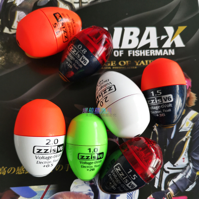 韩国ZZIS夜光电子阿波夜钓浮漂