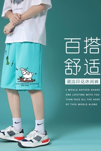 夏季休闲裤子男中性风薄款短裤凉爽裤衩潮裤男 DK21109- P25图片