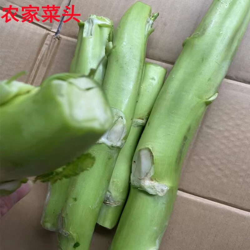 新鲜棒头菜江西高安菜头农家新鲜蔬菜 时令菜 树菜 菜脑里 不带叶,水产肉类/新鲜蔬果/熟食,叶菜类,淘宝优惠券,粉丝福利购,淘宝优惠卷