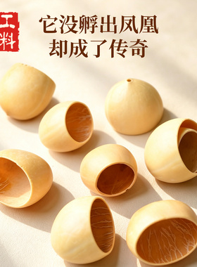 天然铁树凤凰蛋果壳DIY材料包