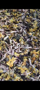 东北冰凌花野生干花50克包邮