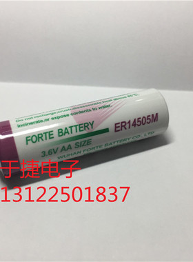 ER14505M 3.6V AA SIZE 2200mAh  FORTE BATTERY 全新