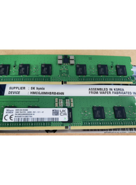 海力士全新原装DDR5 24G  1RX8 6400  RDIMM  REG 服务器内存条