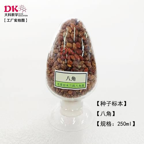 大科教学   种子标本馆  展示展览  八角、稗草、刀豆、蓖麻、常