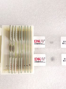 大科教学 寄生虫类 高等教学显微玻片 蓝氏贾第鞭毛虫包囊 生物