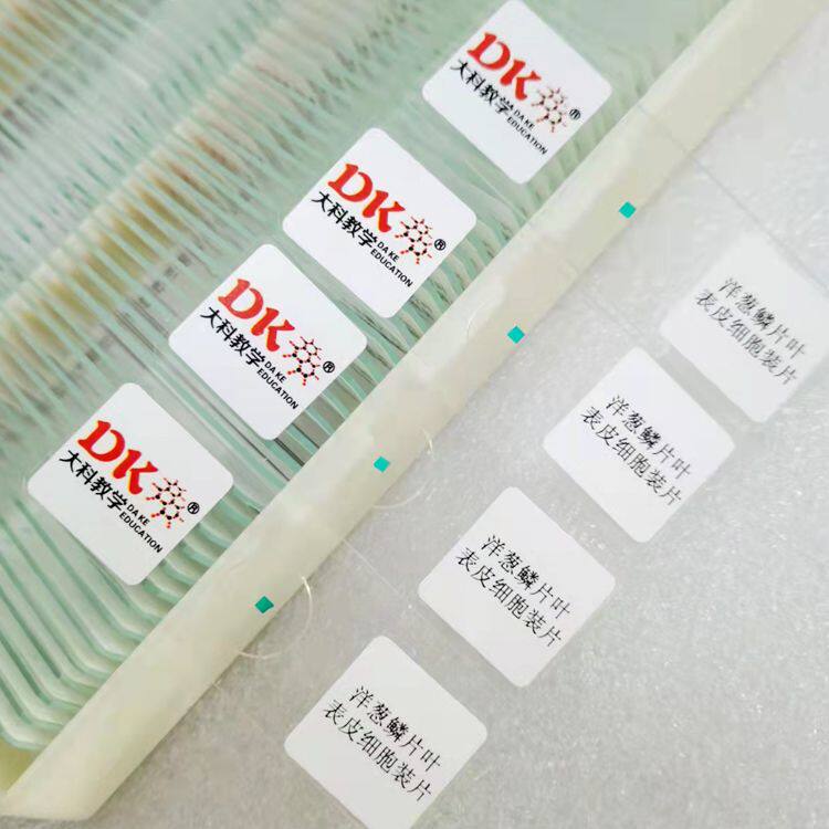 洋葱鳞片叶表皮细胞装片100片/盒  显微生物切片 中学教学示教片